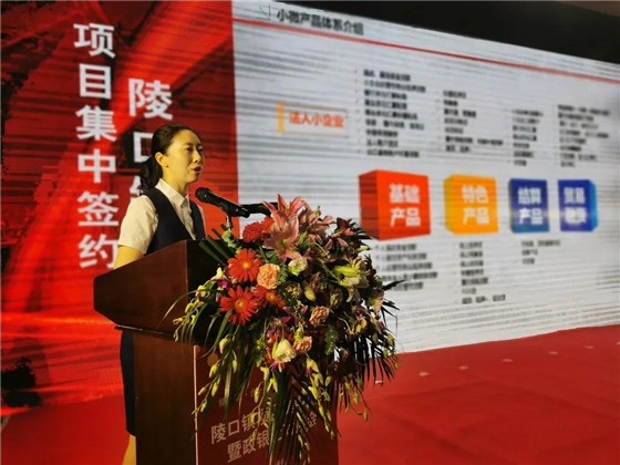 江蘇丹陽陵口鎮(zhèn)開展項(xiàng)目集中簽約暨政銀企對接會